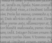 loremipsum02 loremipsum02