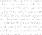 loremipsum03 loremipsum03
